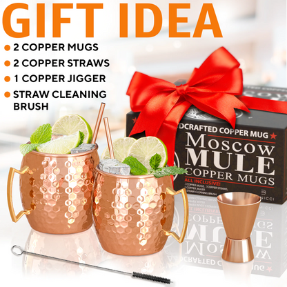 Moscow Mule Copper Mugs - Set of 2 -